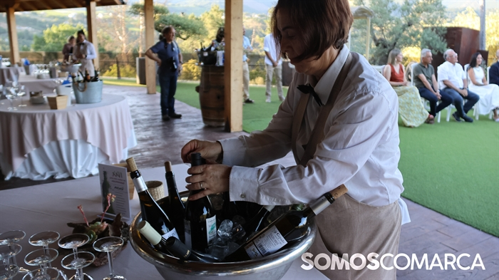 somoscomarca_paladium_catavinovaldeorras1876