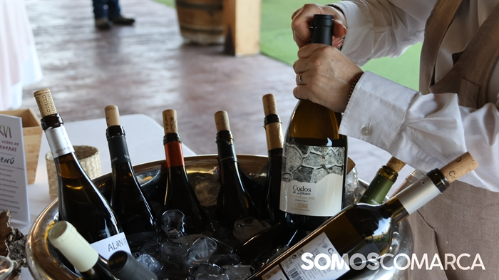 somoscomarca_paladium_catavinovaldeorras1877