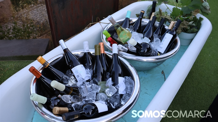 somoscomarca_paladium_catavinovaldeorras1879