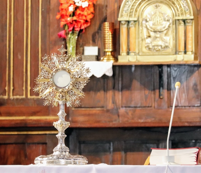 somoscomarca_vilamartin_larouco_viloira_festas_sagrado corazon_octavadocorpus_sanxoan (3)