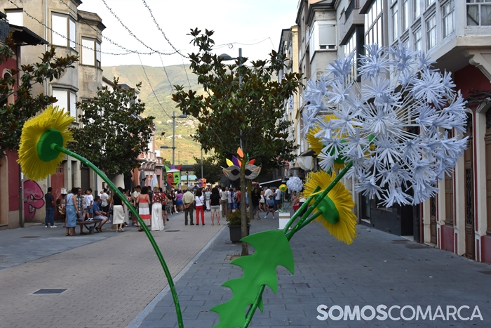 somoscomarca_20250705_arua_desfilecarnavrao (49)