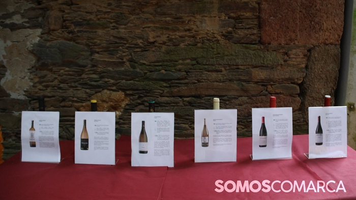 somoscomarca_20250718_aspinguelas_entrecovas_covaalandeval 2387