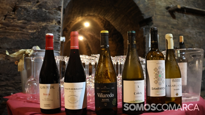 somoscomarca_20250718_aspinguelas_entrecovas_covaalandeval 2390