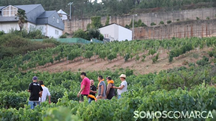 somoscomarca_20250802_vilamartin_festadascovas (45)