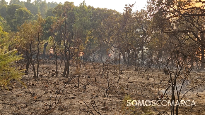 somoscomarca_20250813_incendiolarouco_seadur_freixido (2)
