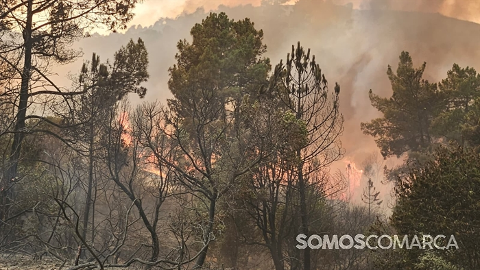 somoscomarca_20250813_incendiolarouco_seadur_freixido (5)
