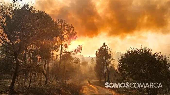 somoscomarca_20250813_incendiolarouco_seadur_freixido (11)