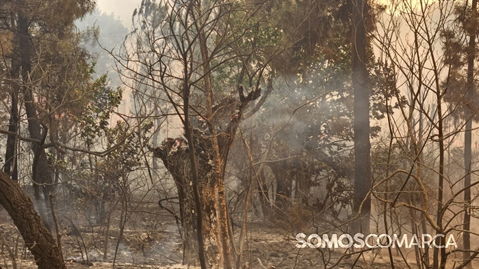 somoscomarca_20250813_incendiolarouco_seadur_freixido (12)