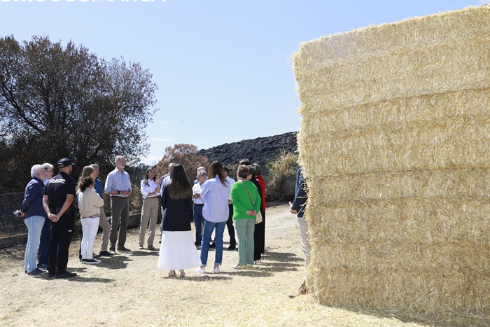 somoscomarca_verin_visitareyesespaña_leticia_felipevi (23)