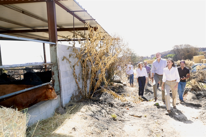 somoscomarca_verin_visitareyesespaña_leticia_felipevi (25)