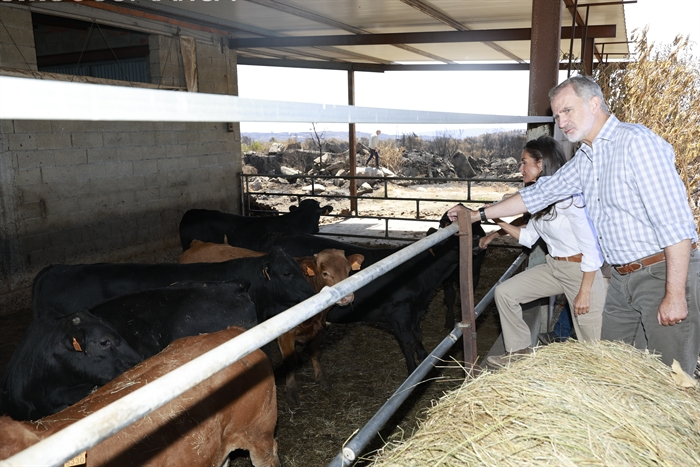 somoscomarca_verin_visitareyesespaña_leticia_felipevi (26)