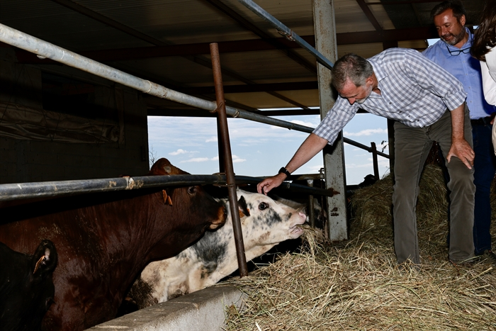 somoscomarca_verin_visitareyesespaña_leticia_felipevi (27)