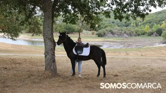 somoscomarca_aveiga_crianzatrevinca_feiraagrogandeira_202510041038