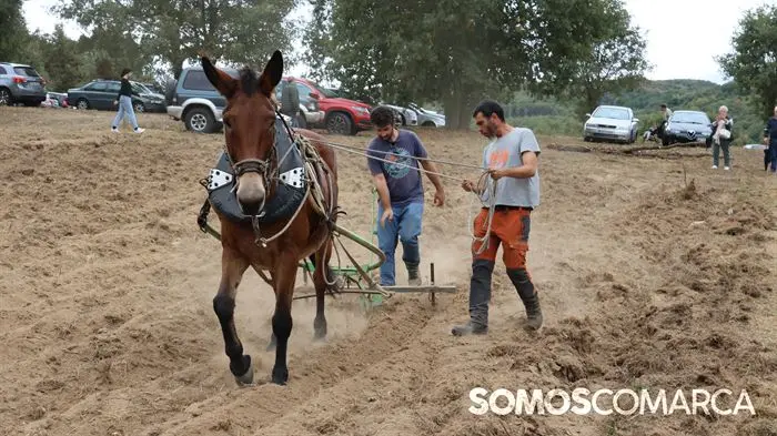 somoscomarca_aveiga_crianzatrevinca_feiraagrogandeira_202510041051