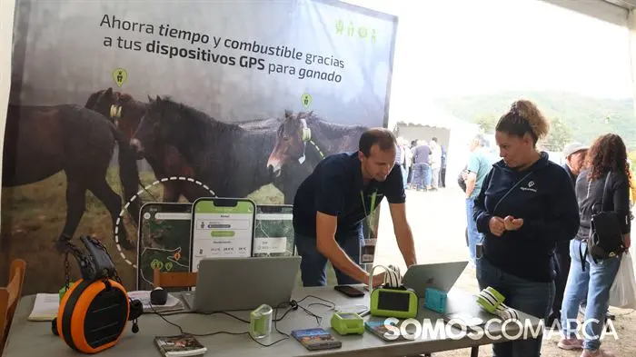 somoscomarca_aveiga_crianzatrevinca_feiraagrogandeira_202510041027