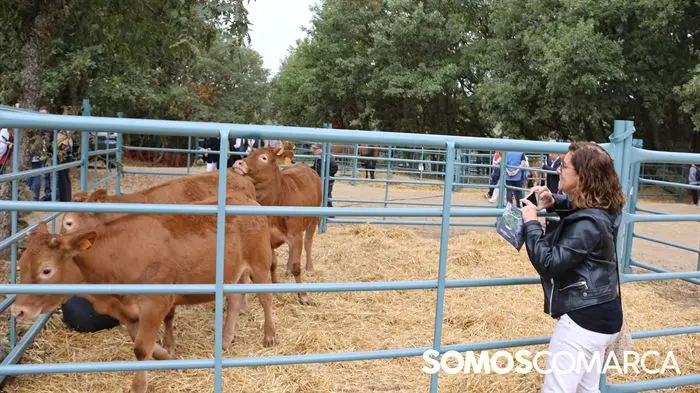 somoscomarca_aveiga_crianzatrevinca_feiraagrogandeira_20251004996