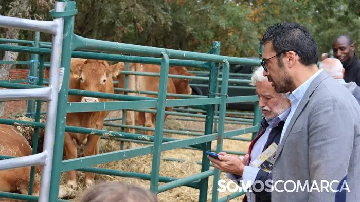 somoscomarca_aveiga_crianzatrevinca_feiraagrogandeira_20251004997