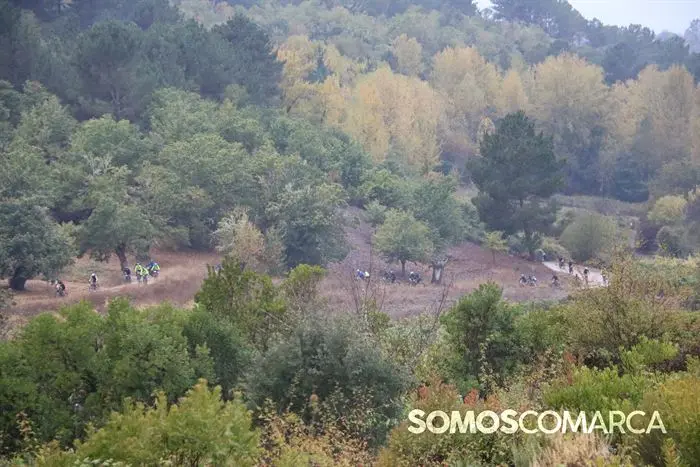 somoscomarca_rubia_bttrutadelvinodevaldeorras_  (34)