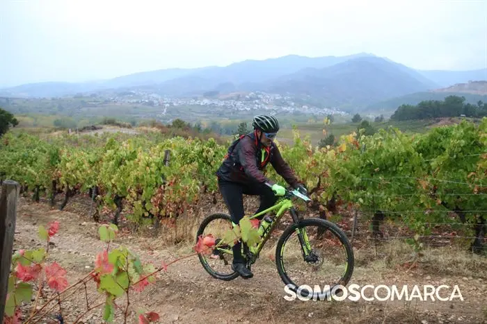 somoscomarca_rubia_bttrutadelvinodevaldeorras_  (56)