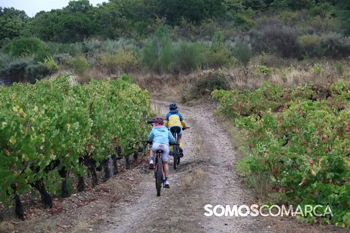 somoscomarca_rubia_bttrutadelvinodevaldeorras_  (59)
