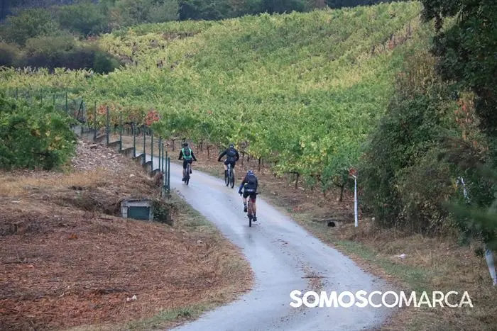 somoscomarca_rubia_bttrutadelvinodevaldeorras_  (67)
