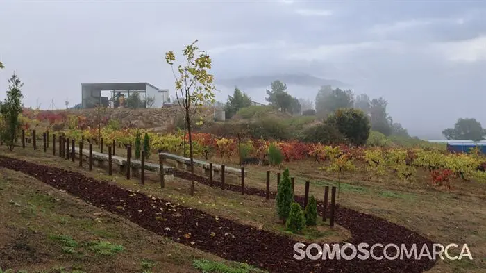 somoscomarca_seadur_escolas_merelles_patricialamela_rehabilitación (19)