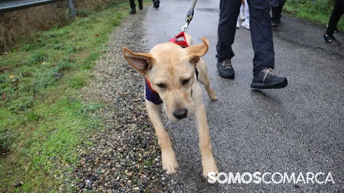 somoscomarca_vilamartin_carreradelasciudades_cancerpancreas_andaina289