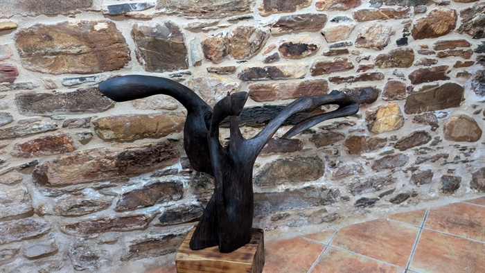 somoscomarca_20251206_corgomo_corgomoarte_conde_torino (6)