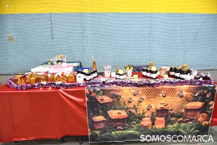 somoscomarca_20251208_vianadobolo_mercadonavidad (10)