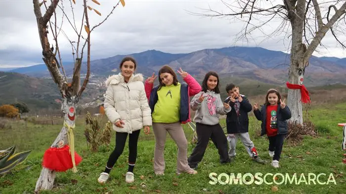 somoscomarca_ocastelo_navidad2025_decoracion_luces731