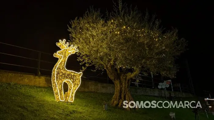 somoscomarca_sobradelo_navidad_decoracionnavideña_luces (11)
