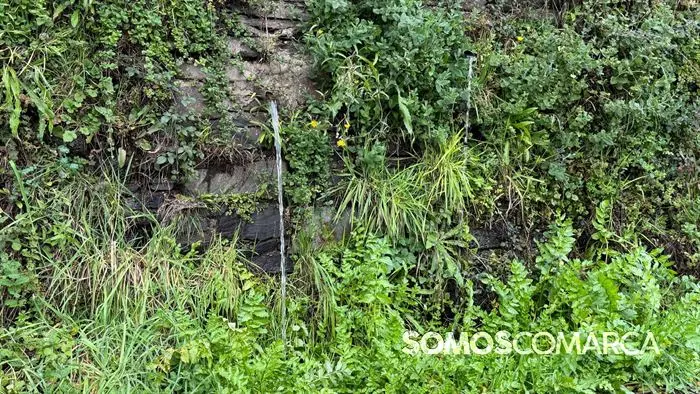 somoscomarca_cami&ntilde;odeinverno_montefurado_alvaredos_aspedreiras1624