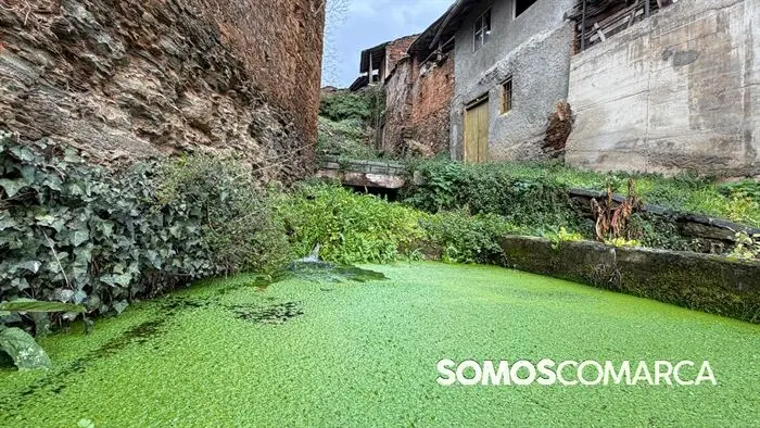 somoscomarca_cami&ntilde;odeinverno_montefurado_alvaredos_aspedreiras1594