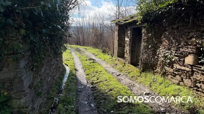 somoscomaca_petin_mones_pamoramicas 2017