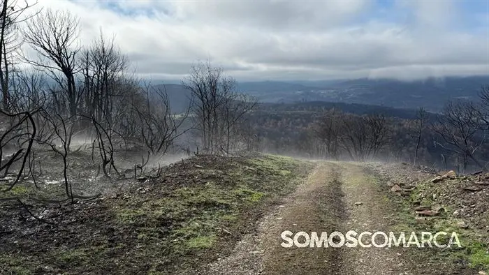 somoscomaca_petin_mones_pamoramicas 2019