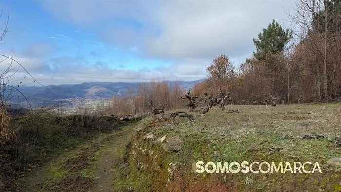 somoscomaca_petin_mones_pamoramicas 2023