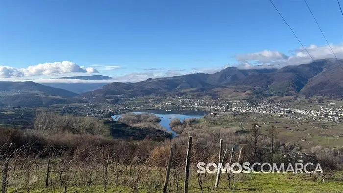 somoscomaca_petin_mones_pamoramicas 1987