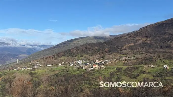 somoscomaca_petin_mones_pamoramicas 1990