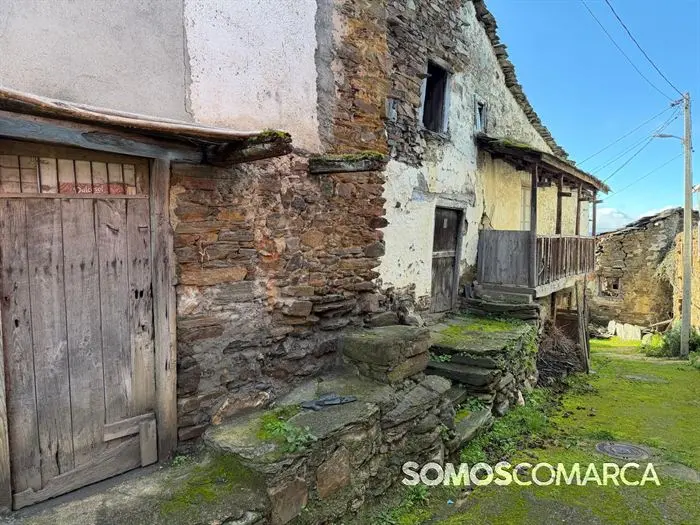 somoscomaca_petin_mones_pamoramicas 1991