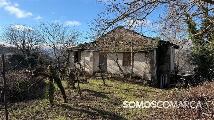 somoscomaca_petin_mones_pamoramicas 1993