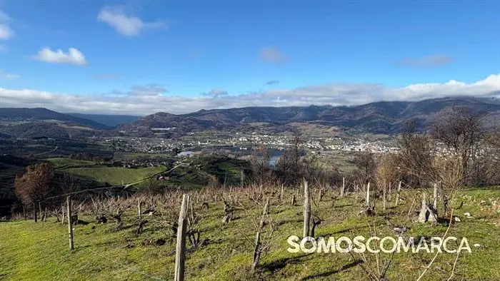 somoscomaca_petin_mones_pamoramicas 1997