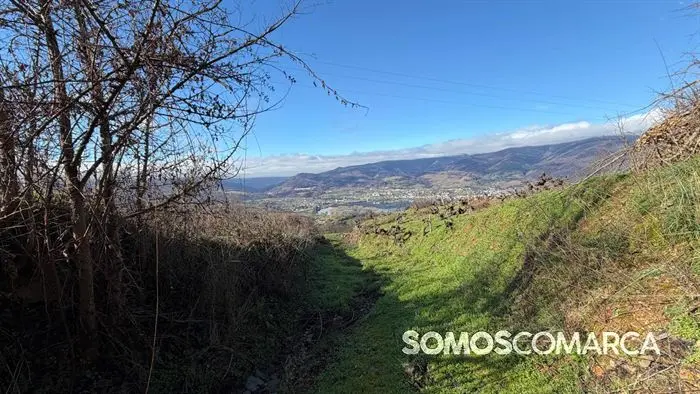 somoscomaca_petin_mones_pamoramicas 1999