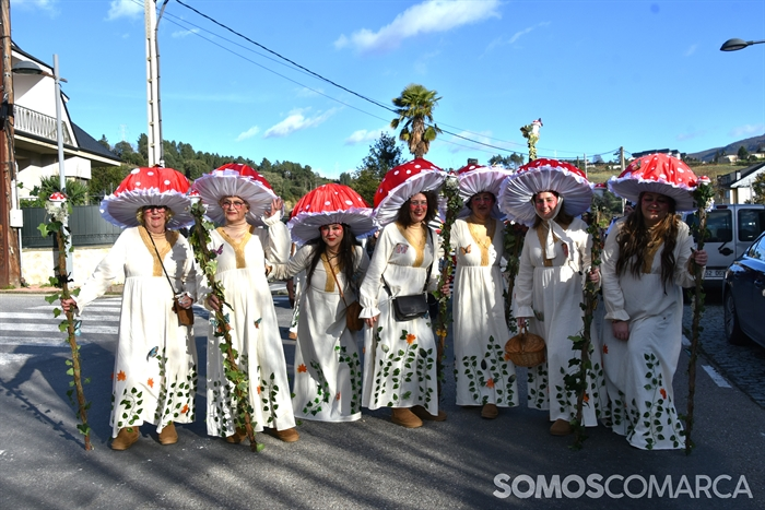 somoscomarca_20260214_villamartin_carnaval_entroido_desfilecomparsas (26)