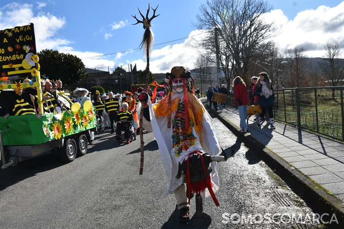somoscomarca_20260217_aveiga_desfileentroido_festadasoa (12)