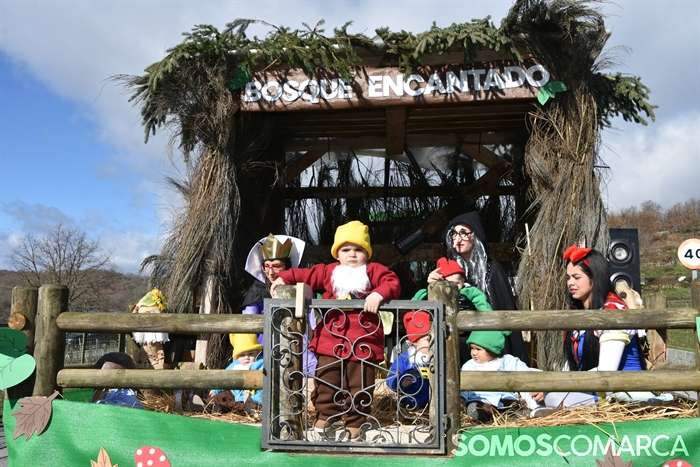somoscomarca_20260217_aveiga_desfileentroido_festadasoa (20)