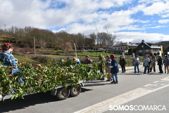 somoscomarca_20260217_aveiga_desfileentroido_festadasoa (26)