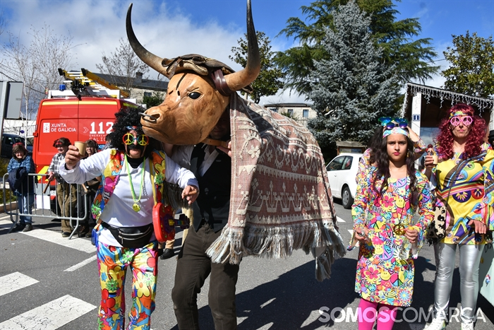 somoscomarca_20260217_aveiga_desfileentroido_festadasoa (50)