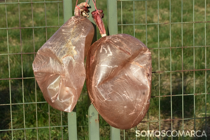 somoscomarca_20260221_aveiga_xuntanzafolions_grupomascaras (81)