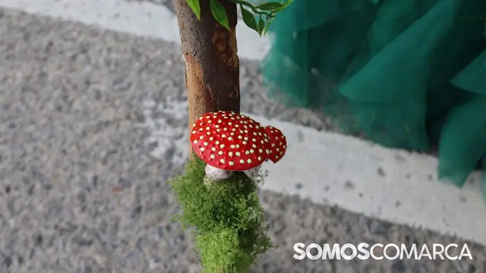 somoscomaca_quiroga_desfiledecomparsas_entroido (29)