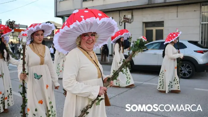 somoscomaca_quiroga_desfiledecomparsas_entroido (55)